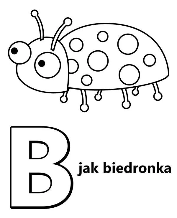 alfabet b jak bidronka
