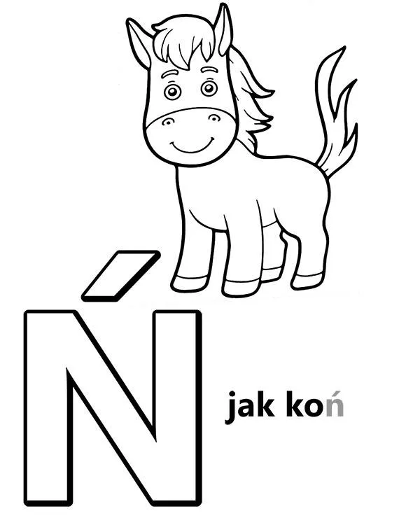 alfabet n jak zkon