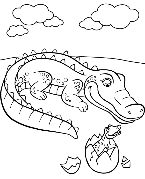 aligator jajko kolorowanka zwierzeta ameryki polnocnej