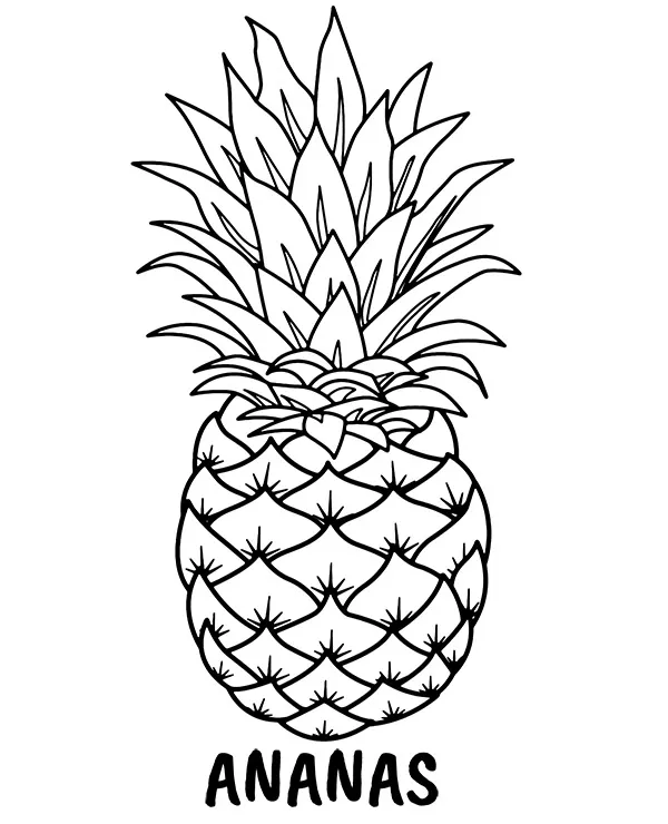 ananas kolorowanka owoc do druku