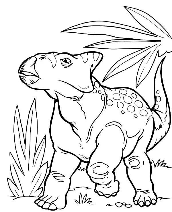 dinosaur kolorowanka protoceratops