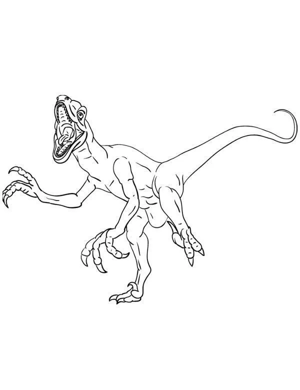 dinozaury kolorowanka