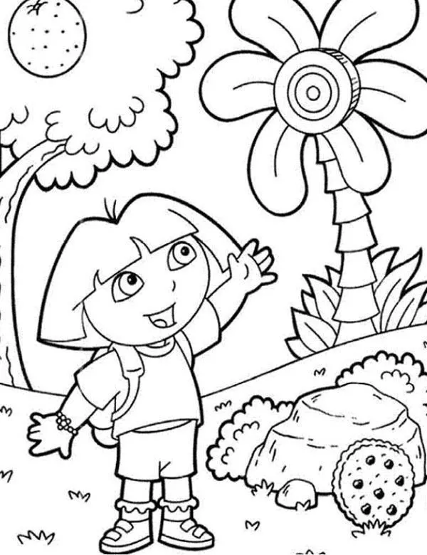 dora3