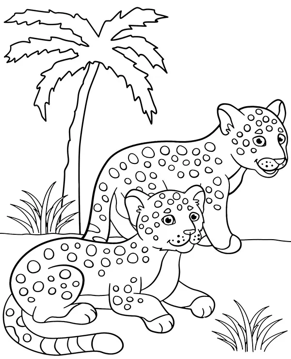 jaguary kolorowanka zwierzeta ameryki poludniowej