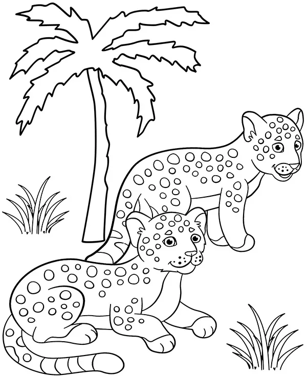 jaguary kolorowanki ze zwierzetami