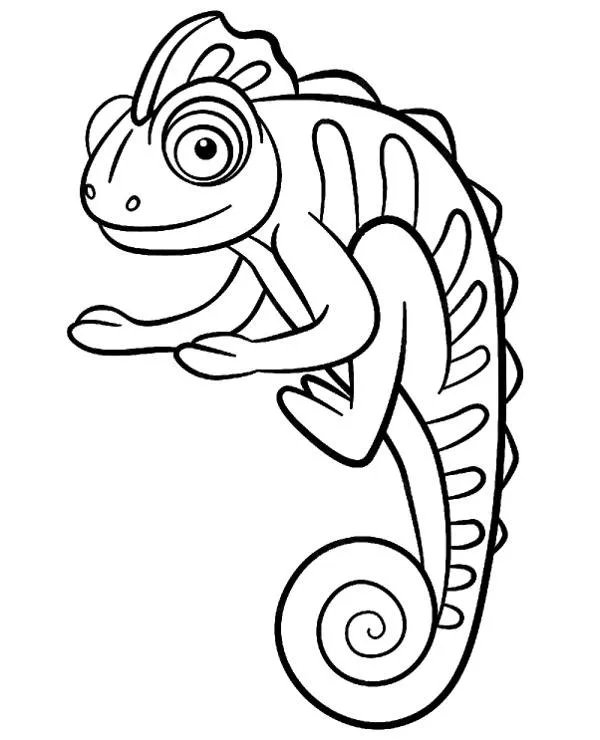 kameleon kolorowanka
