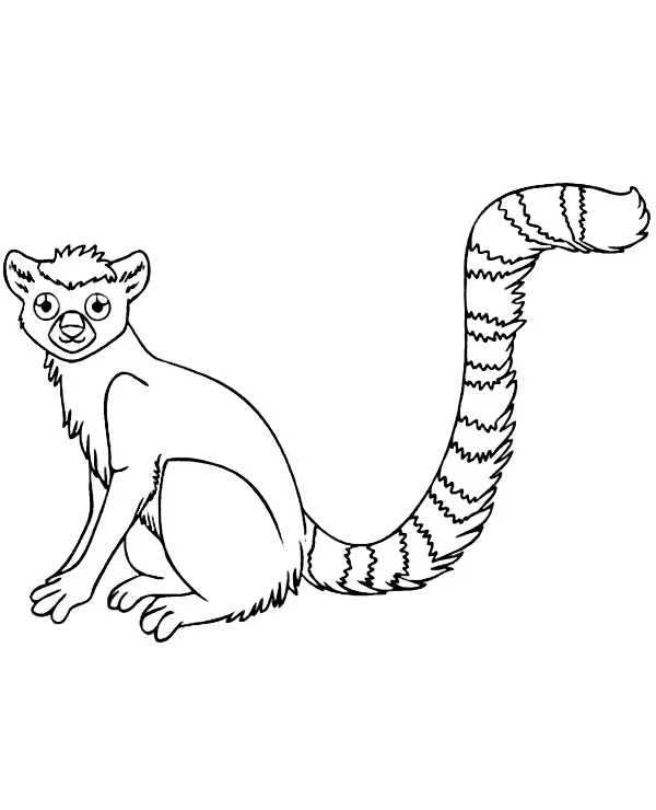 lemur kolorowanka zwierzeta afryki