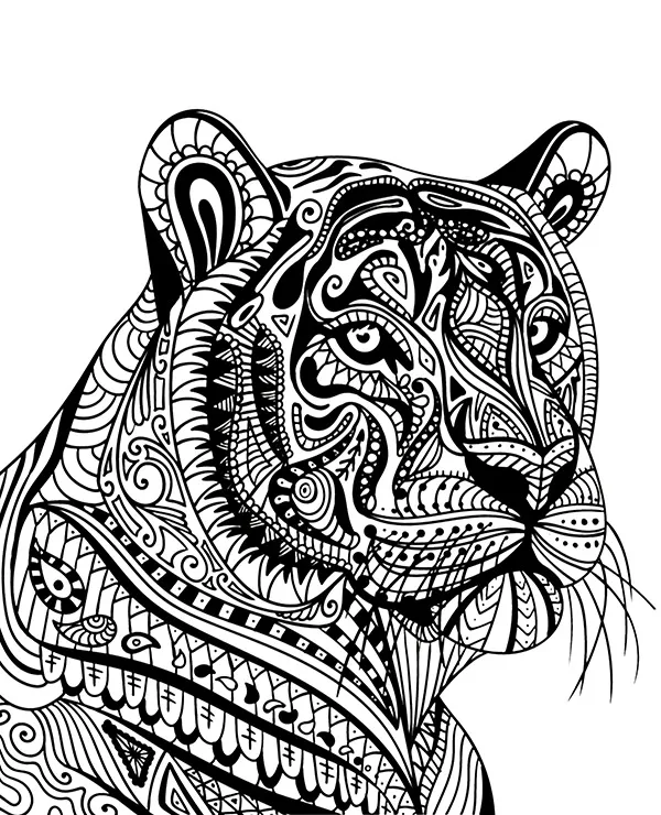 mandala kolorowanka glowa tygrysa