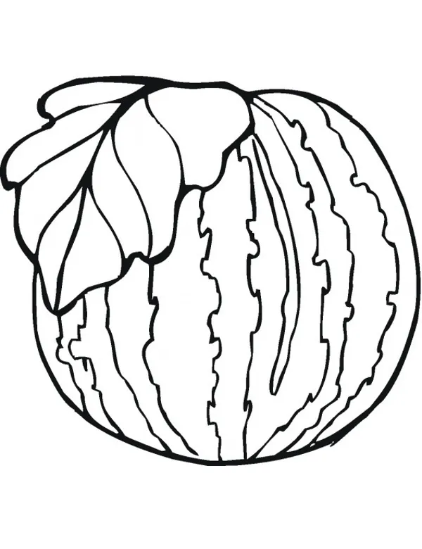 melon kolorowanki owoce