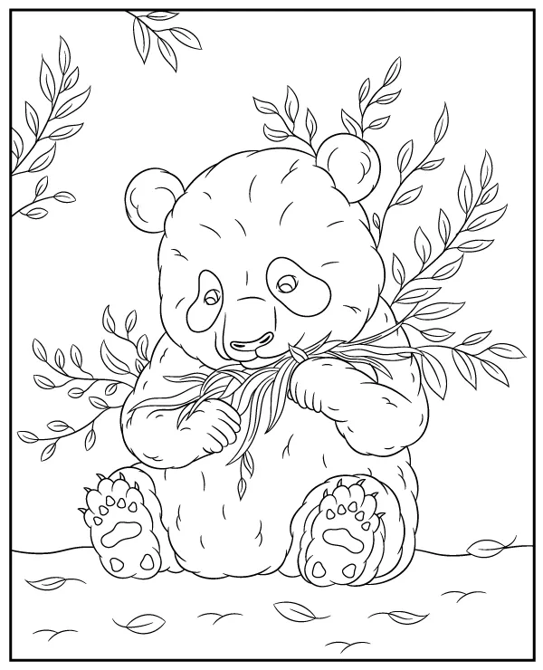 mis panda kolorowanka zwierze azja