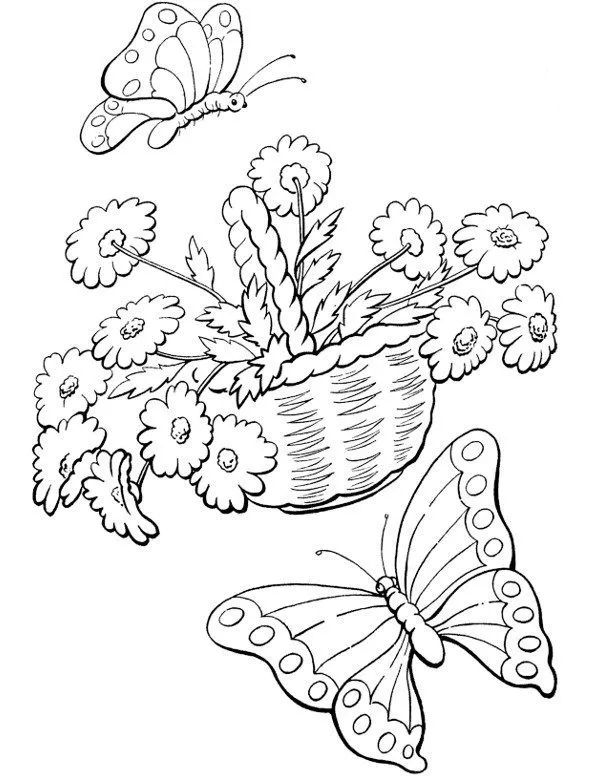 motyle kolorowanka