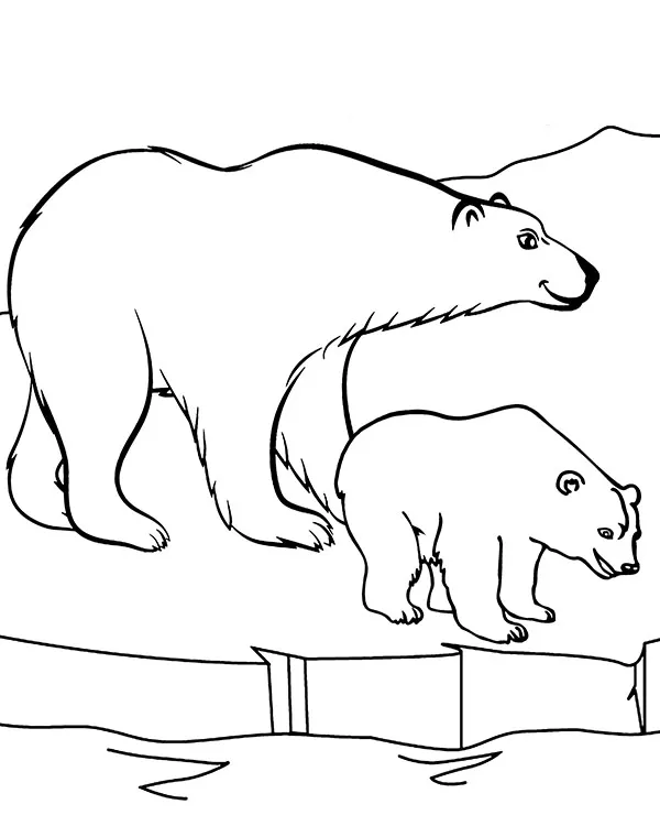 niedzwiedz polarny kolorowanki dzikie zwierzeta