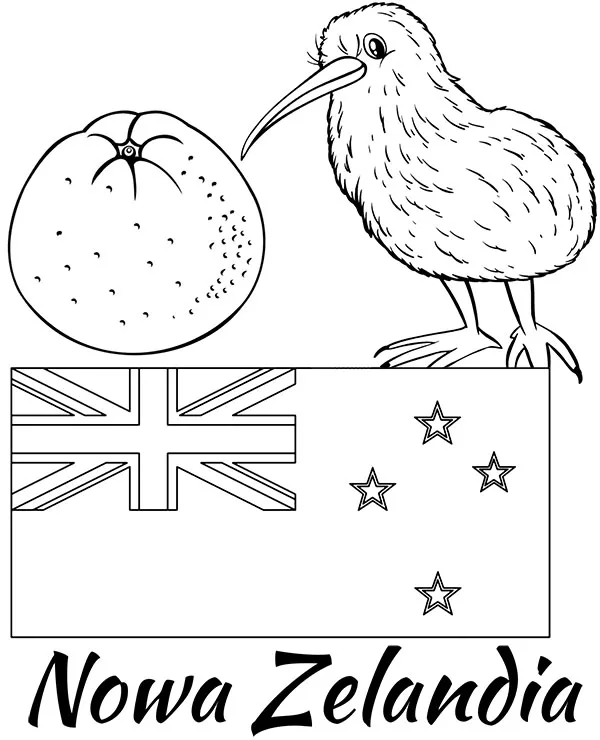 nowa zelandia flaga kiwi malowanka