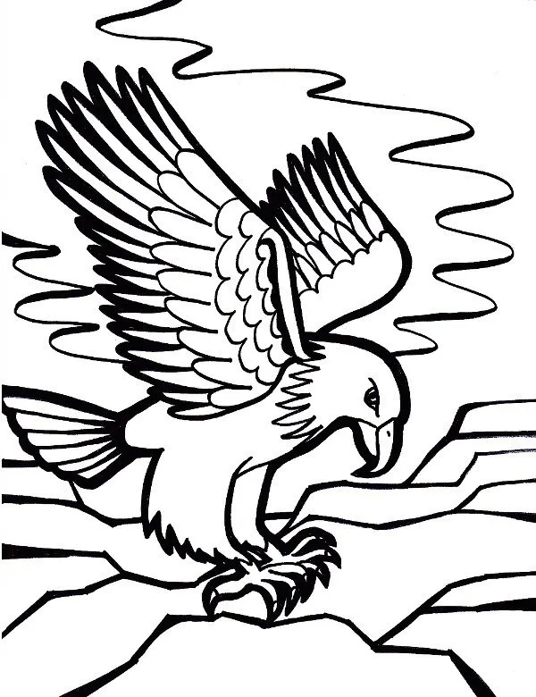 orzel kolorowanka