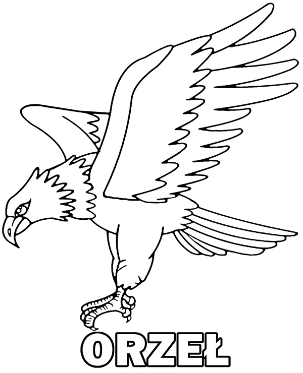 orzel w locie kolorowanka