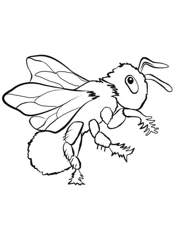 owady kolorowanka 1