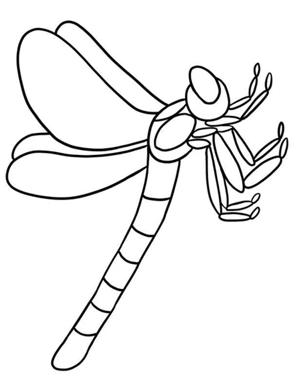 owady kolorowanka 2