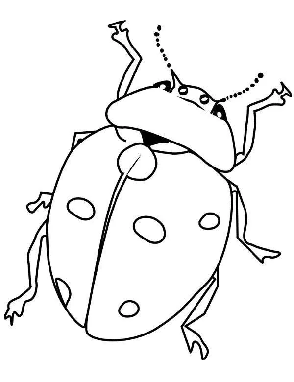 owady kolorowanka 7