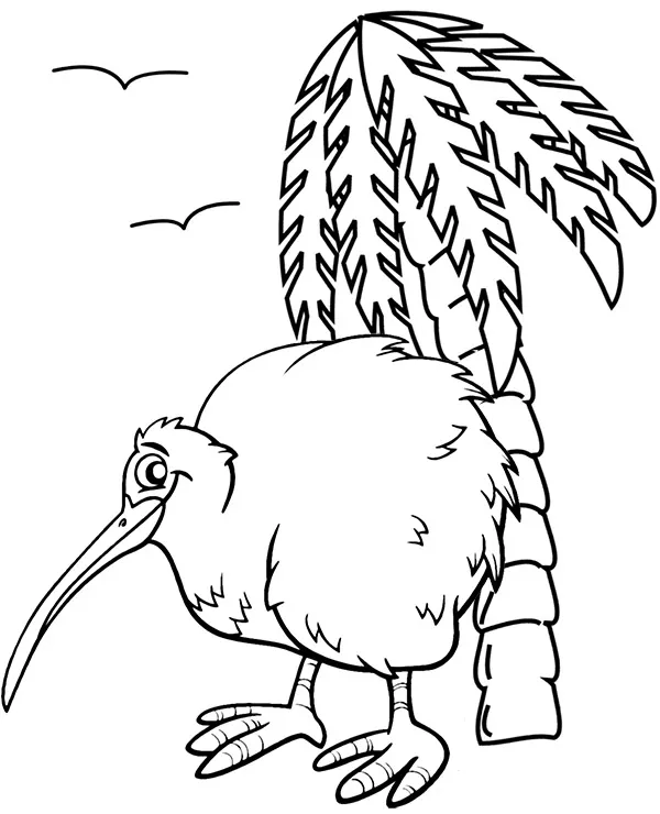 https://kolorowanki.site/wp content/uploads/2025/04/ptak kiwi kolorowanka