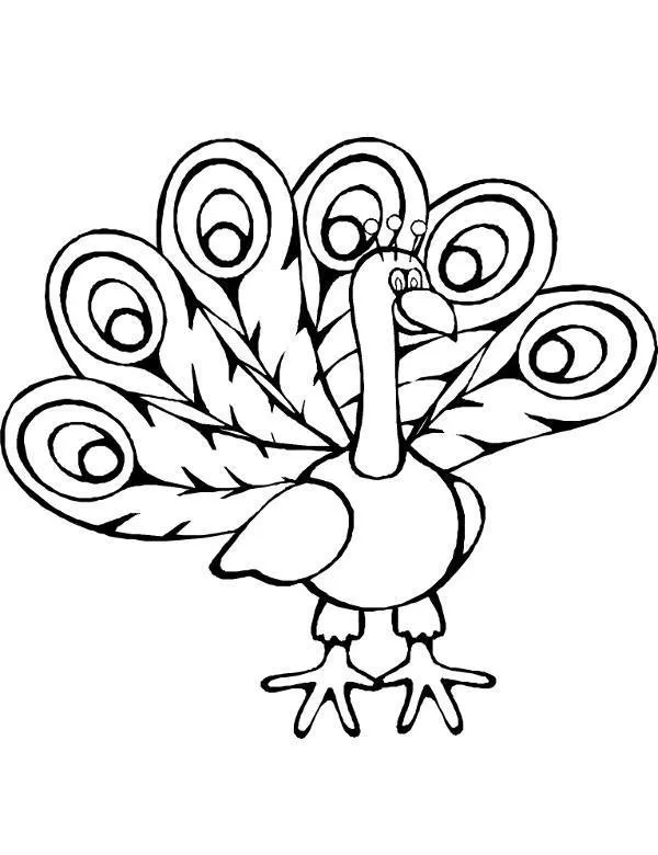 https://kolorowanki.site/wp content/uploads/2025/04/ptaki kolorowanki 27