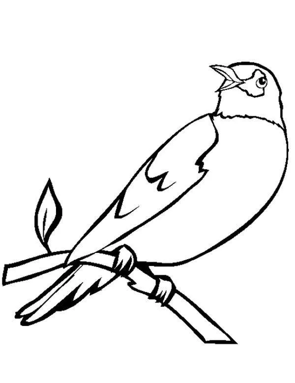 https://kolorowanki.site/wp content/uploads/2025/04/ptaki kolorowanki do druku