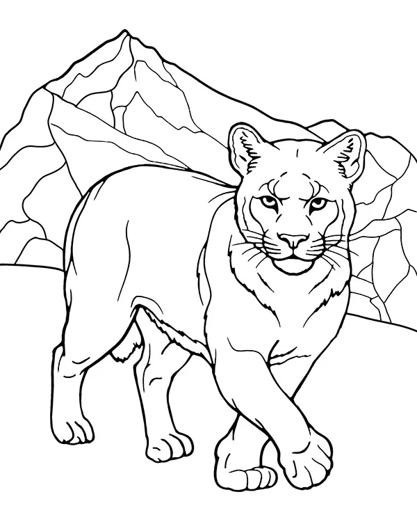 https://kolorowanki.site/wp content/uploads/2025/04/puma kuguar kolorowanka zwierzeta ameryki polnocnej