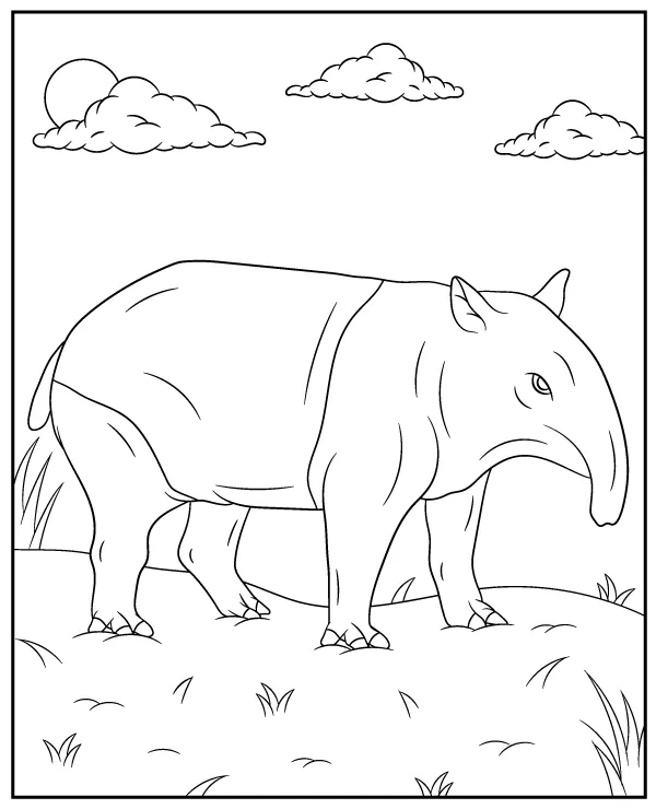 https://kolorowanki.site/wp content/uploads/2025/04/tapir dziki kolorowanka zwierze azja