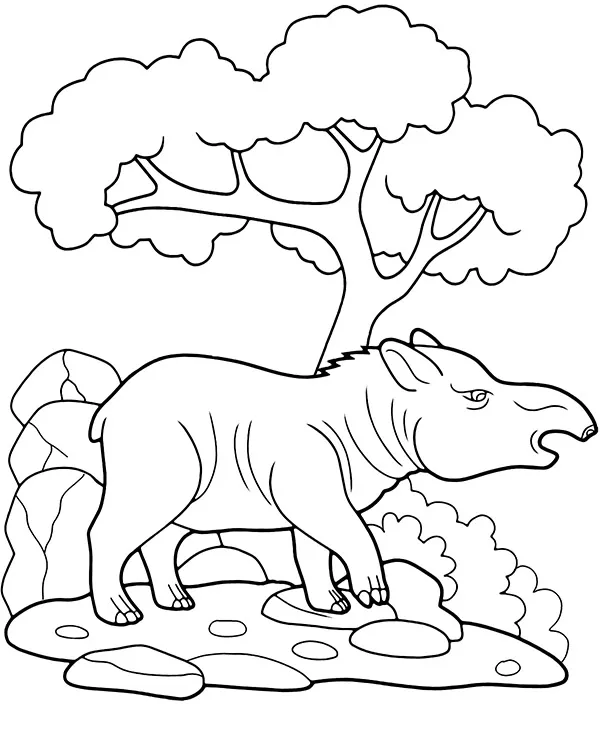 https://kolorowanki.site/wp content/uploads/2025/04/tapir kolorowanka zwierzeta azji