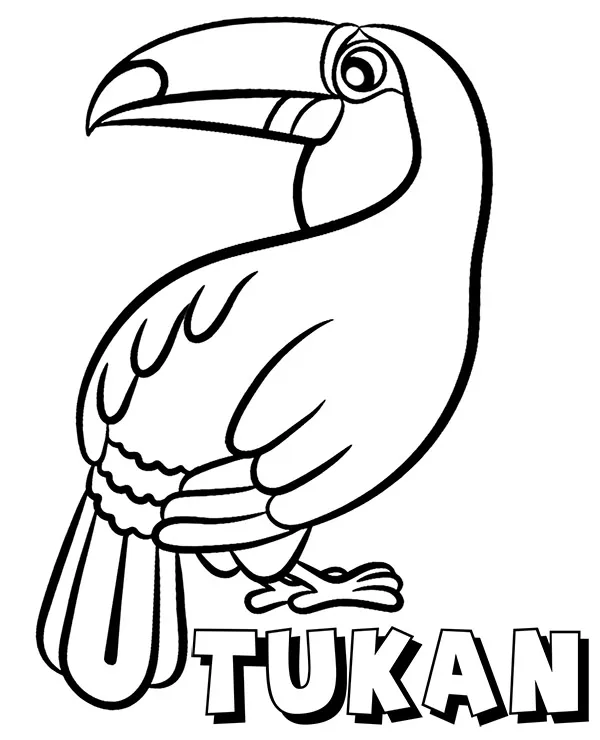 https://kolorowanki.site/wp content/uploads/2025/04/tukan kolorowanka do druku