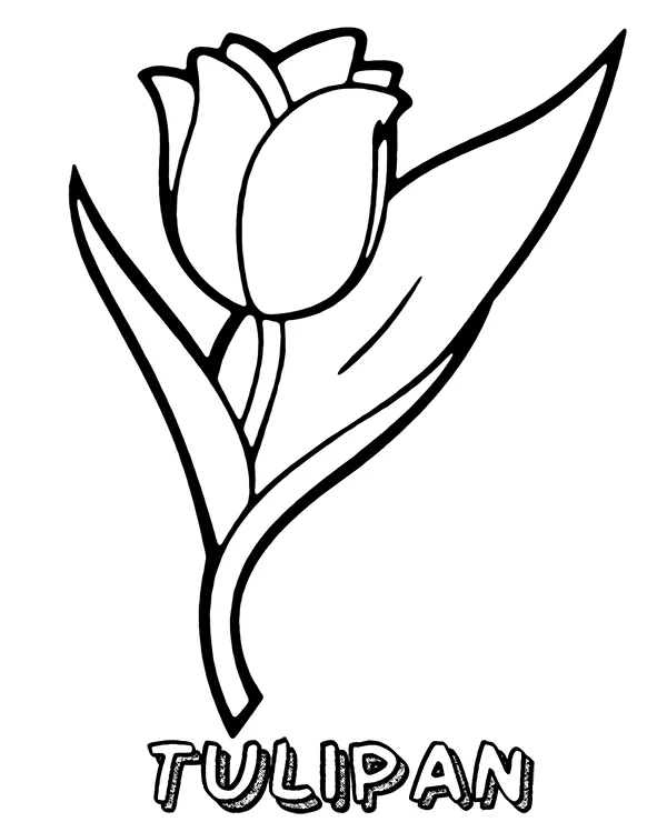 https://kolorowanki.site/wp content/uploads/2025/04/tulipan kolorowanka do wydrukowania
