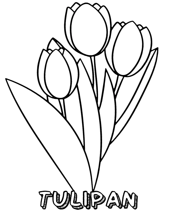 https://kolorowanki.site/wp content/uploads/2025/04/tulipany kolorowanka do wydruku
