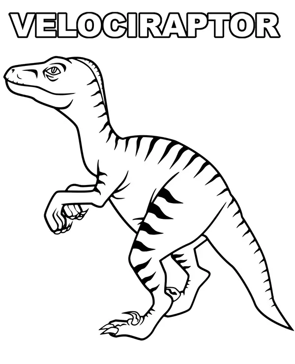 https://kolorowanki.site/wp content/uploads/2025/04/velociraptor kolorowanka do wydruku dinozaur