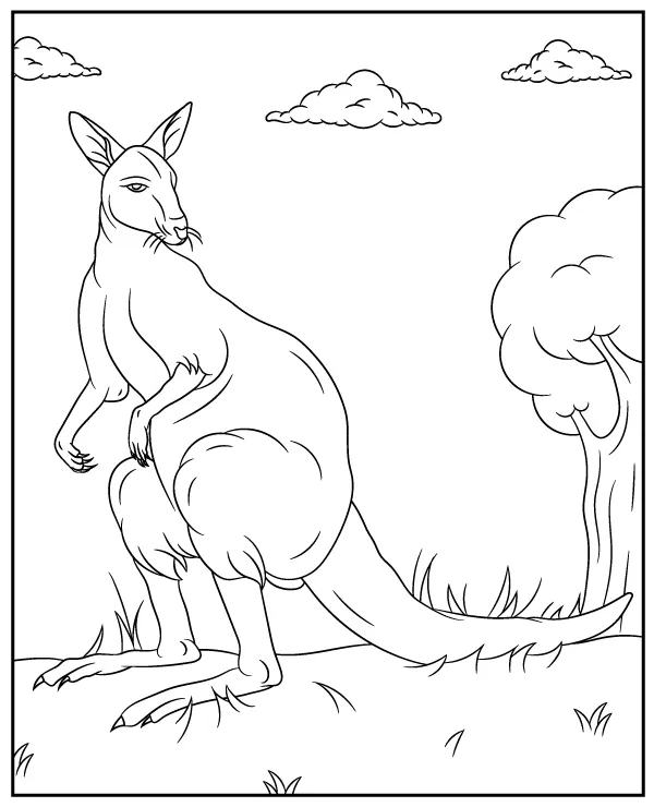 https://kolorowanki.site/wp content/uploads/2025/04/walabia bagienna kolorowanka zwierzeta australia