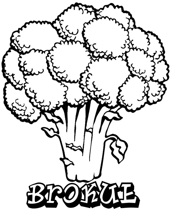 https://kolorowanki.site/wp content/uploads/2025/04/warzywa kolorowanka brokul do druku