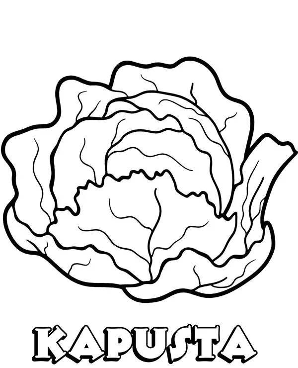 https://kolorowanki.site/wp content/uploads/2025/04/warzywa kolorowanka kapusta do wydruku