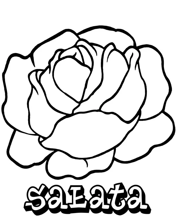 https://kolorowanki.site/wp content/uploads/2025/04/warzywa kolorowanka salata do druku