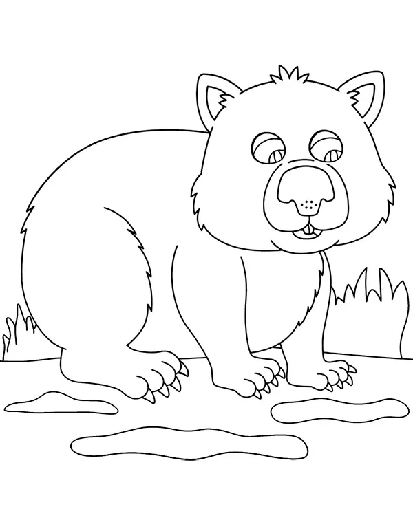 https://kolorowanki.site/wp content/uploads/2025/04/wombat kolorowanka zwierzeta australii