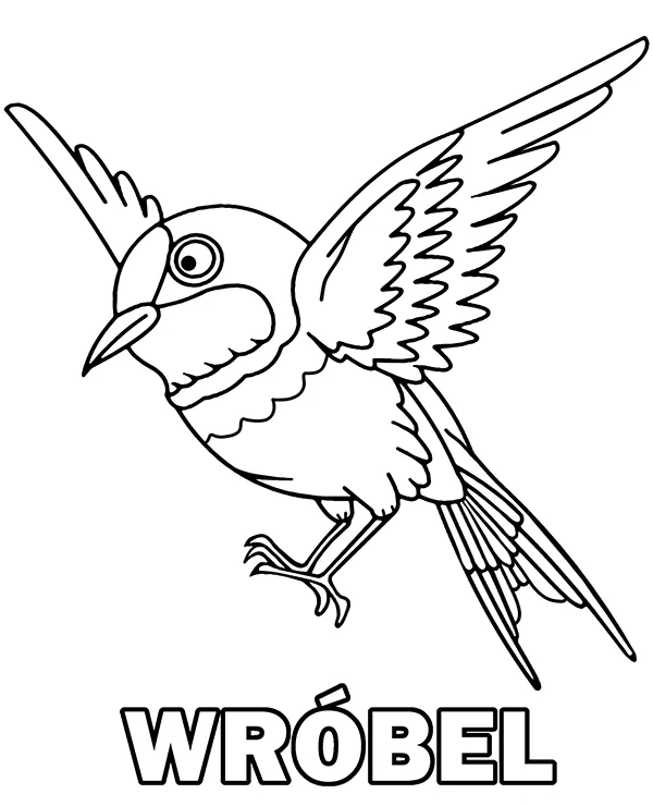 https://kolorowanki.site/wp content/uploads/2025/04/wrobel kolorowanka do wydruku