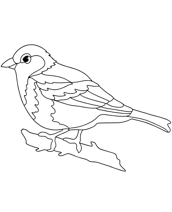 https://kolorowanki.site/wp content/uploads/2025/04/wrobel kolorowanka ptak