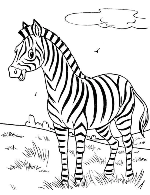 https://kolorowanki.site/wp content/uploads/2025/04/zebra kolorowanka