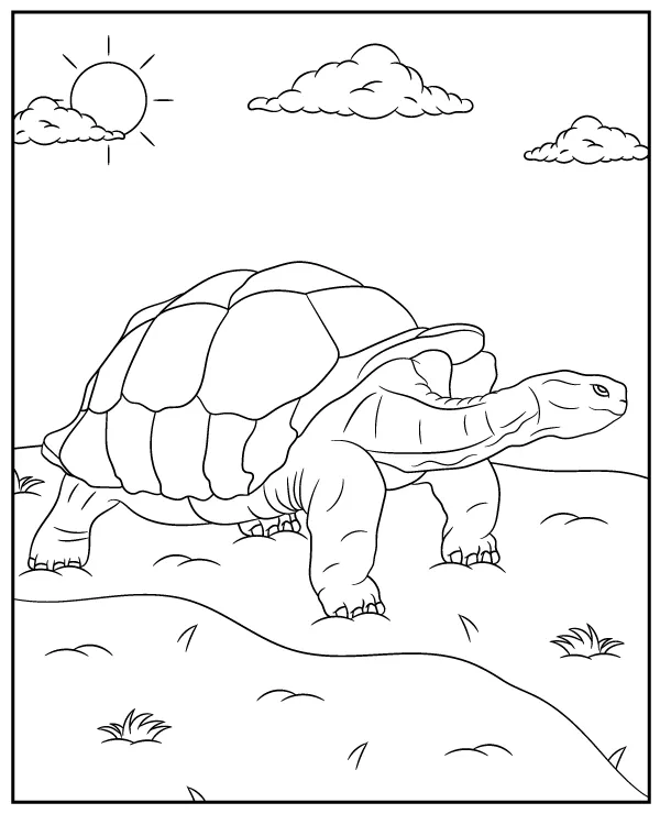https://kolorowanki.site/wp content/uploads/2025/04/zolw galapagos zwierzak ameryka poludniowa