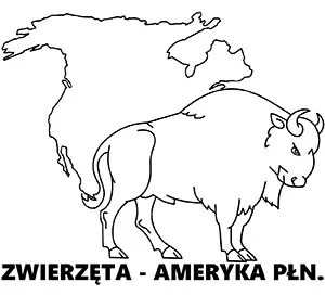 https://kolorowanki.site/wp content/uploads/2025/04/zwierzeta ameryki polnocnej kolorowanki do druku