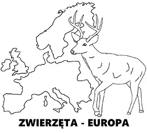 https://kolorowanki.site/wp content/uploads/2025/04/zwierzeta europy kolorowanki do druku