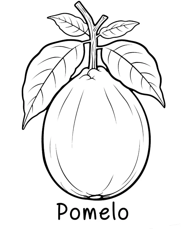 pomelo kolorowanka owoce